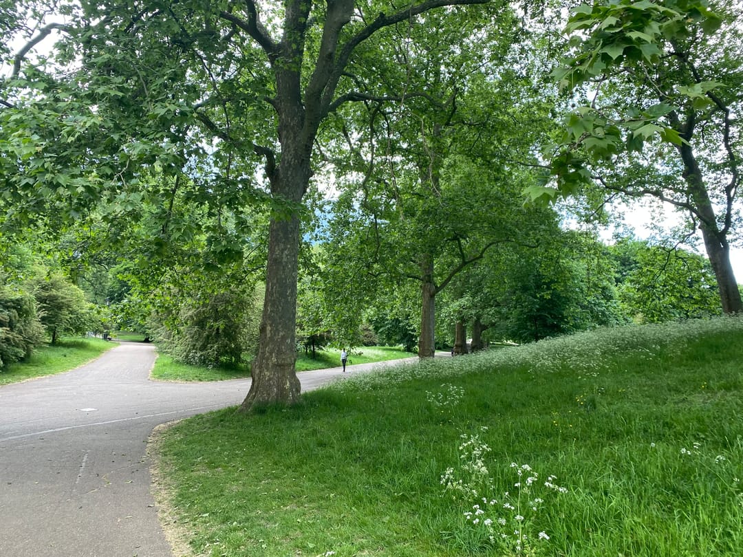 The Green Park - image 2