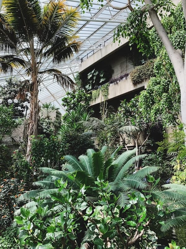 Secret Gardens & Sky-High Views Walk