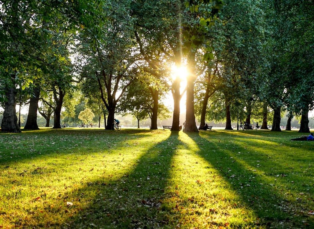 Hyde Park - image 4