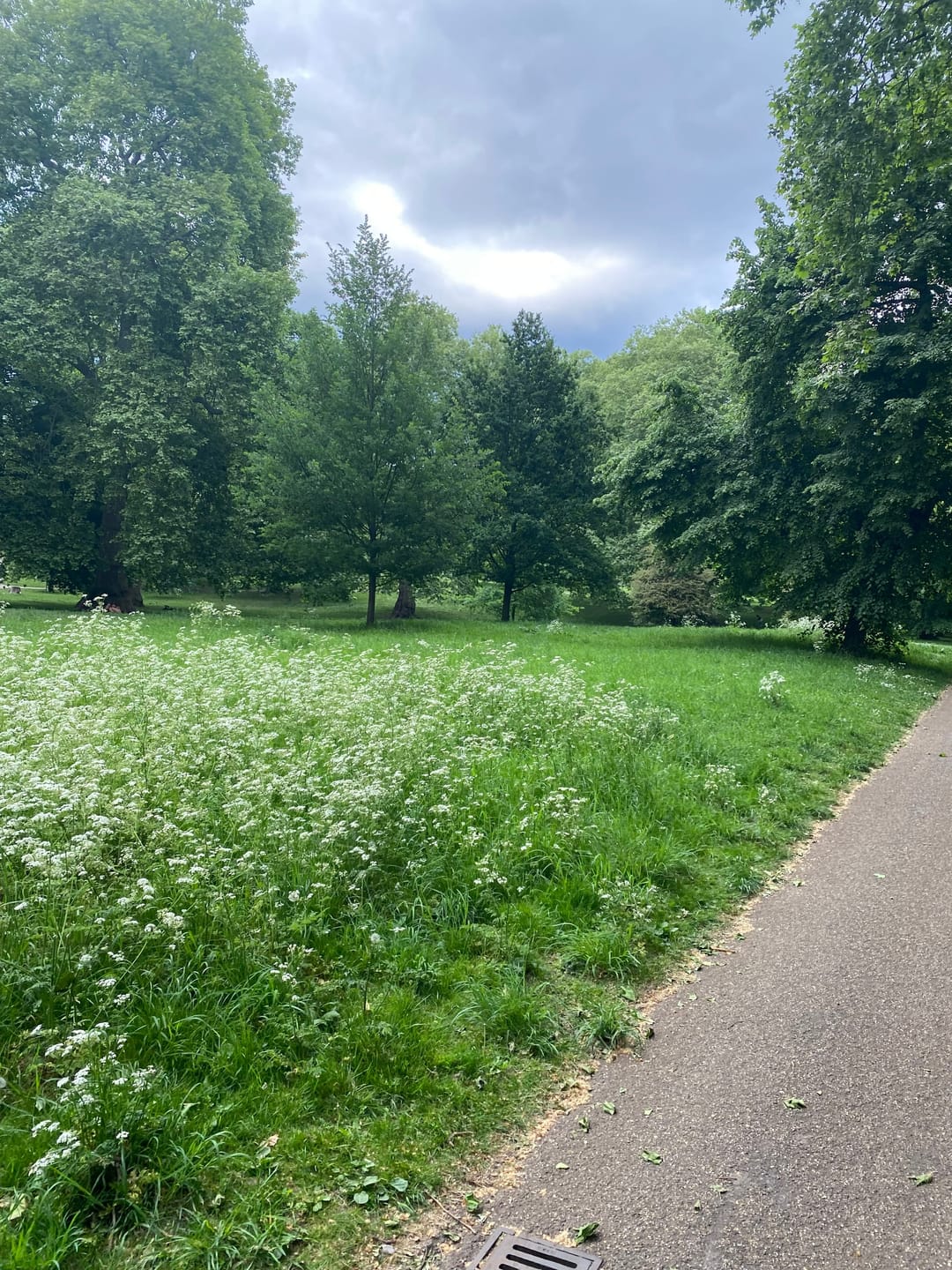 The Green Park - image 1