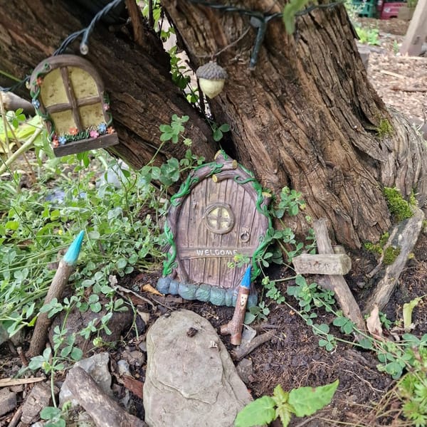 Urban Forest School