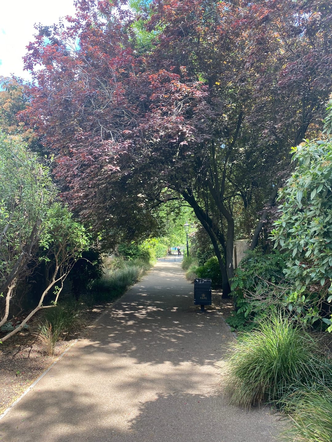 The Regent's Park - image 1