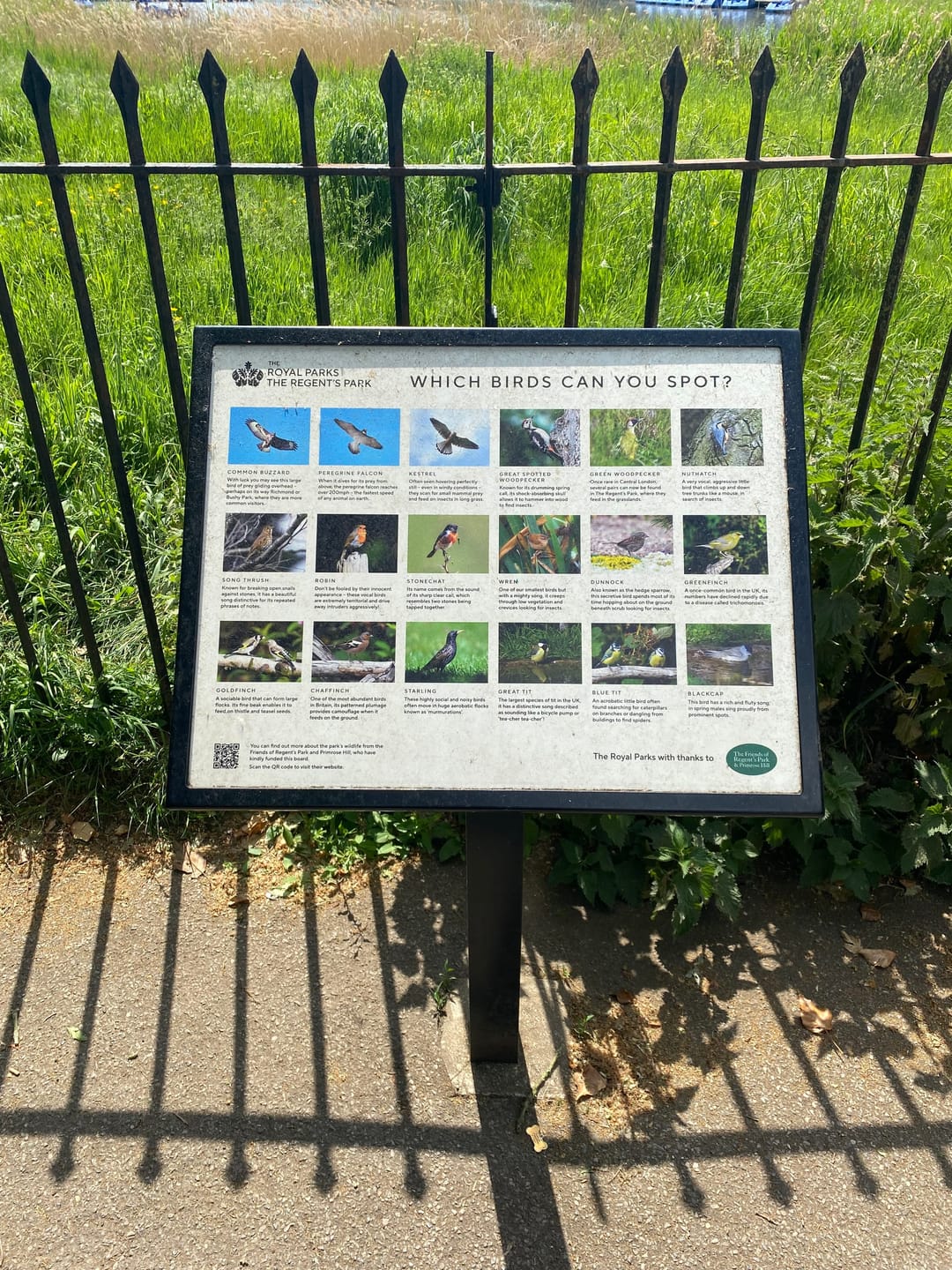 The Regent's Park - image 3